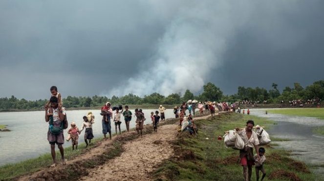 rohingya