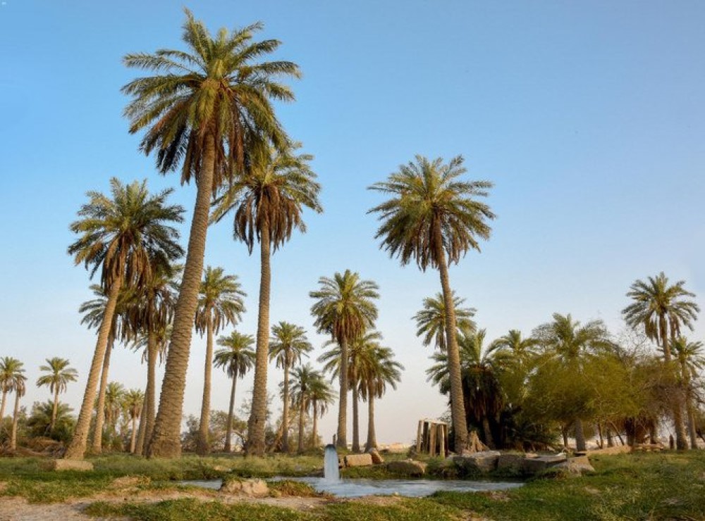 saudi