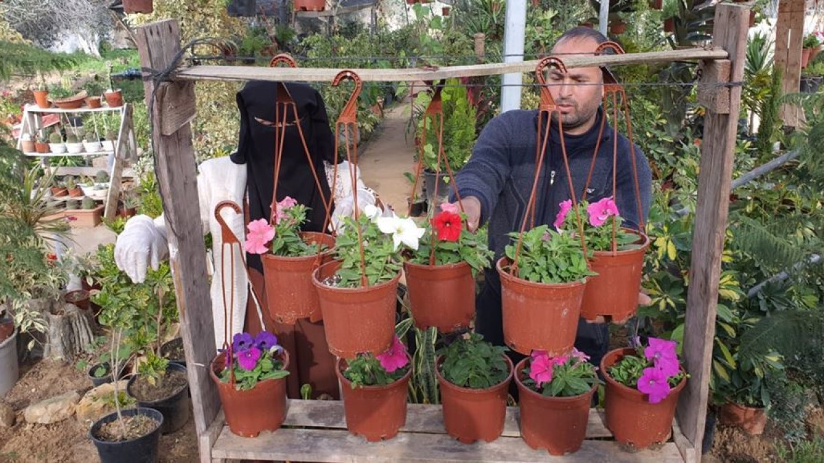 nurseri