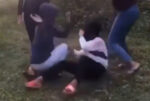 polis video