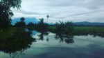kampung