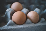 telur ayam