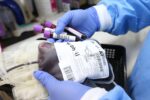 blood, donation, donate