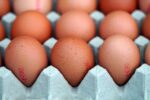 eggs, meal, food