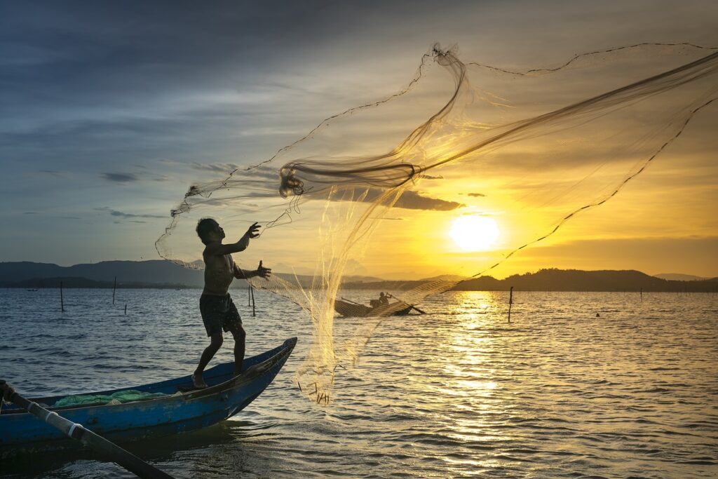 fishing, fisherman, sunset